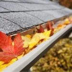 Leaves in gutter