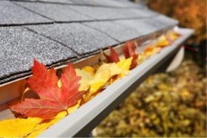 Leaves in gutter